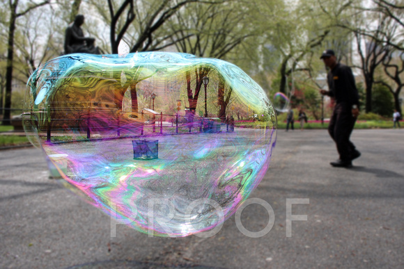 Central Park bubble art