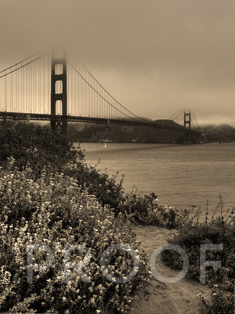 Path to Golden Gate